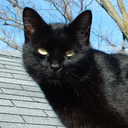 ProM1ne - steam id 76561198065917371