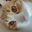 INS_BeautifulBoy