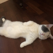 遇到老子算你倒霉