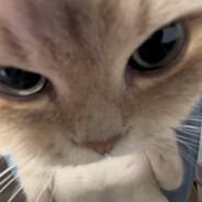 plaggezy - steam id 76561198195942670