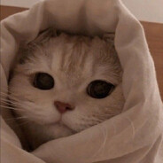 d_p - steam id 76561199543742124