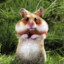 HAMSTER_BAT9