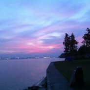 ❣︎◕ ‿ ◕|-[ I.C.E ]-|◕ ‿ ◕❣