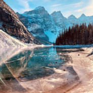 好汉请先打我队友