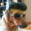Elvis Piesley