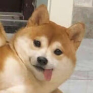 玩家头像