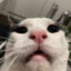 Beny