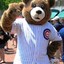 WrigleyBear