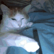 vape cat