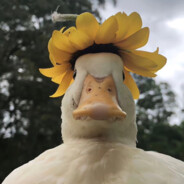 吃喜之郎果冻的太空人