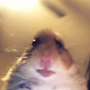 Godwill <3 - steam id 76561198112438987