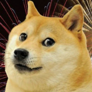 profesjonalnypijakjbcpis