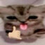 mREOW