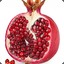 pomegranate