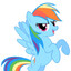 ♥ rainbow dash ♥