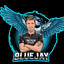 BluejayVO2