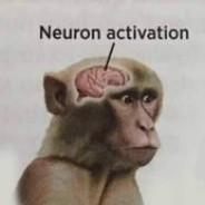 Monke28