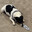 le_pup