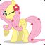 ♥♥Fluttershy♥♥