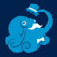 Snazzy Octopus
