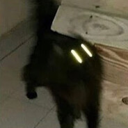 Vexz