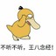 小新