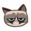 GrumpE