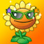 CoolSunFlower