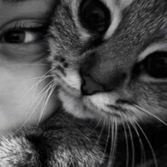 ﹆⋆⊹⋆๑⌯୨୧