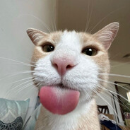 cas avatar