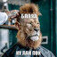 Barber