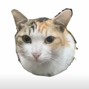 爱音爱音我们喜欢你