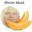 melon musk