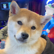 卖火孩的小男柴