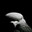 ROBOTAIM pr1-