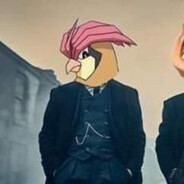 Pidgeotto Shelby