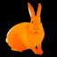 Orange Rabbit