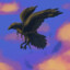 Raven 96