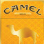 CamelTurkishGolds