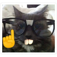!'s Avatar