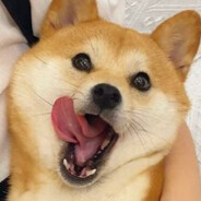 柴在亲亲老婆中( ˘ ³˘)