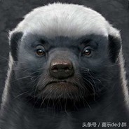 哒哒、冒蓝火的加特林