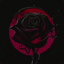 Black Rose