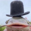 Wompus Dingleflap