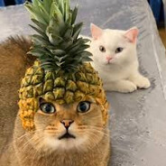 pricklesl2o