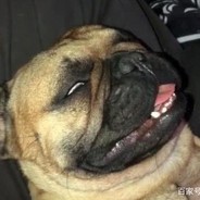 网恋被骗三桶煤