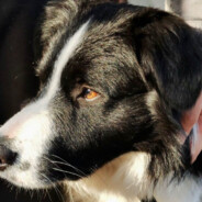 她与春风皆过客