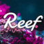 Reefy