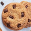 Mistr_Cookie