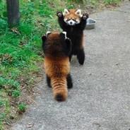 (｡◕ˇдˇ​◕｡)